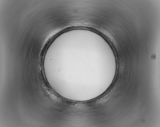 X0000091290974200709071028