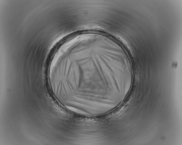 X0000091290975200709071028