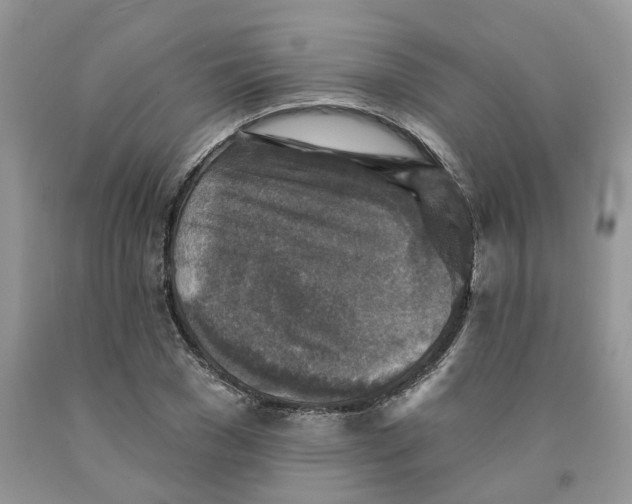 X0000091290977200709071028