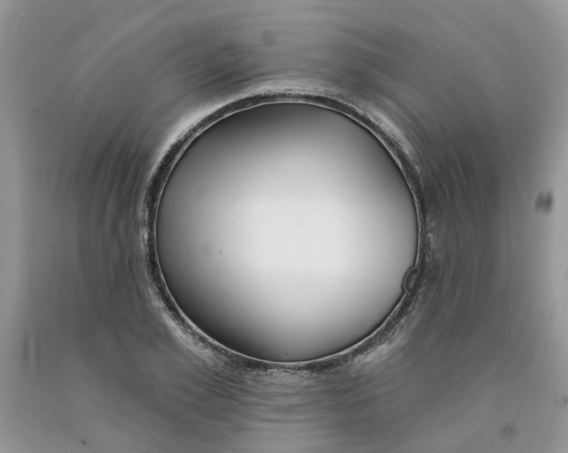 X0000091290981200709071028