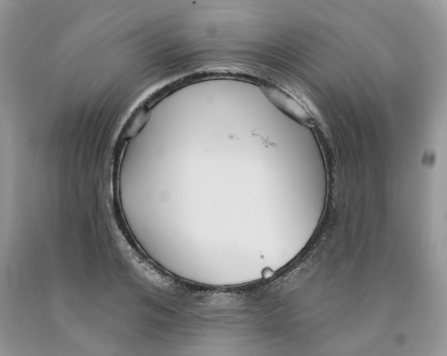 X0000091290984200709071028