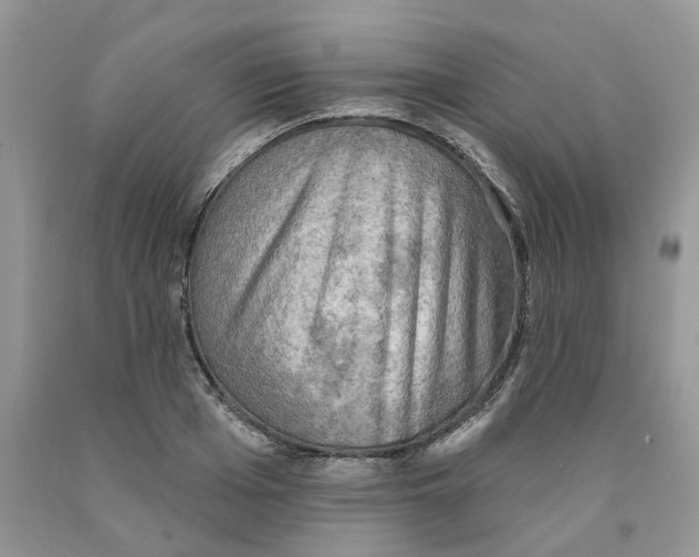 X0000091290985200709071028