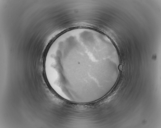 X0000091290987200709071028