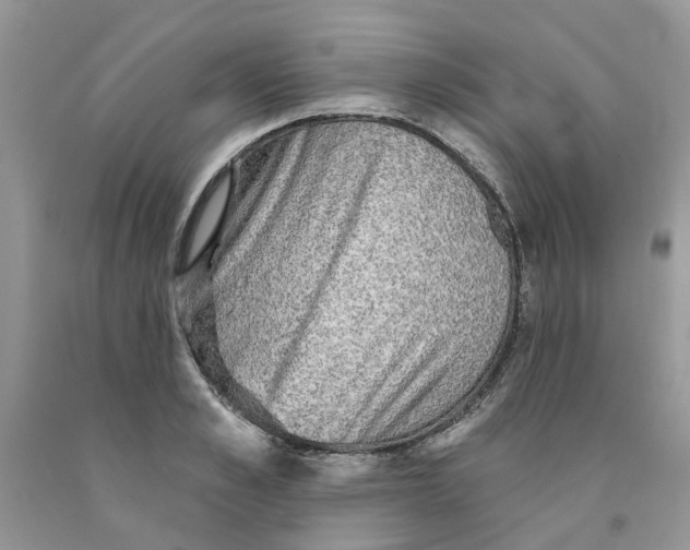 X0000091290989200709071028