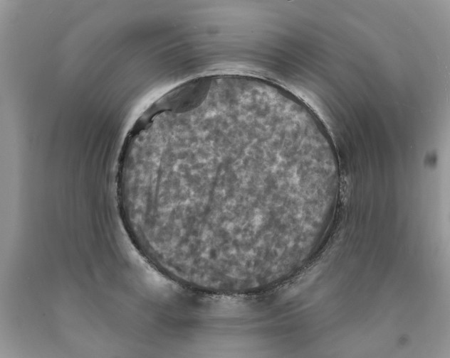 X0000091290995200709071028