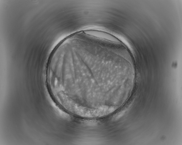 X0000091290999200709071028