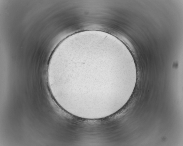 X0000091291000200709071028