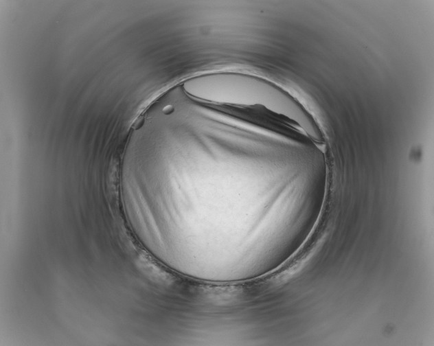 X0000091291001200709071028