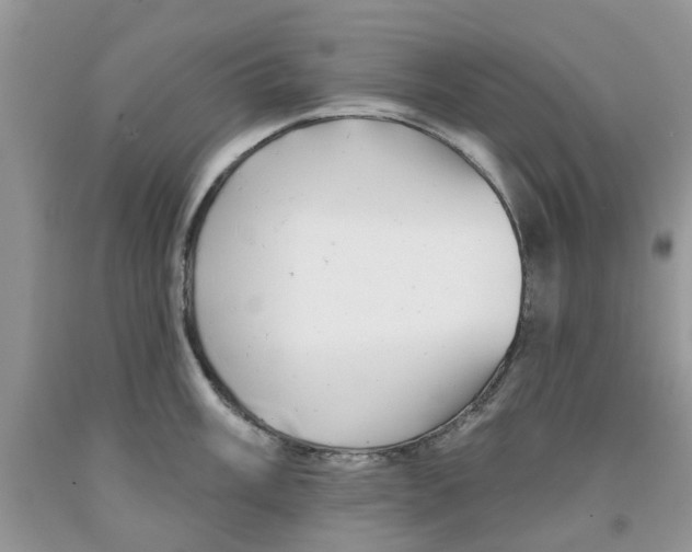 X0000091291003200709071028