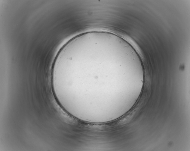 X0000091291004200709071028