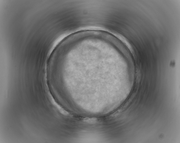 X0000091291006200709071028