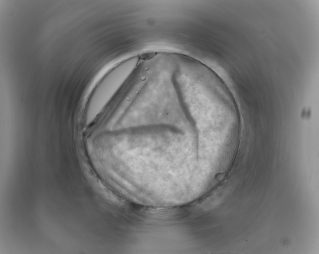 X0000091291008200709071028