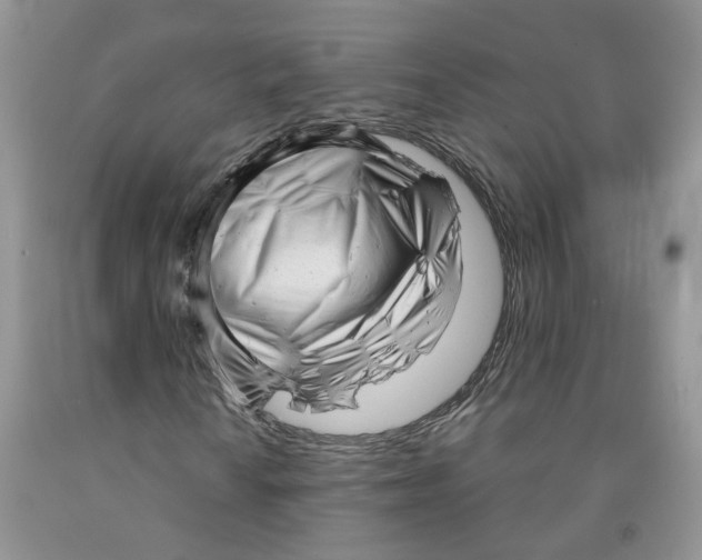 X0000091291010200709071027