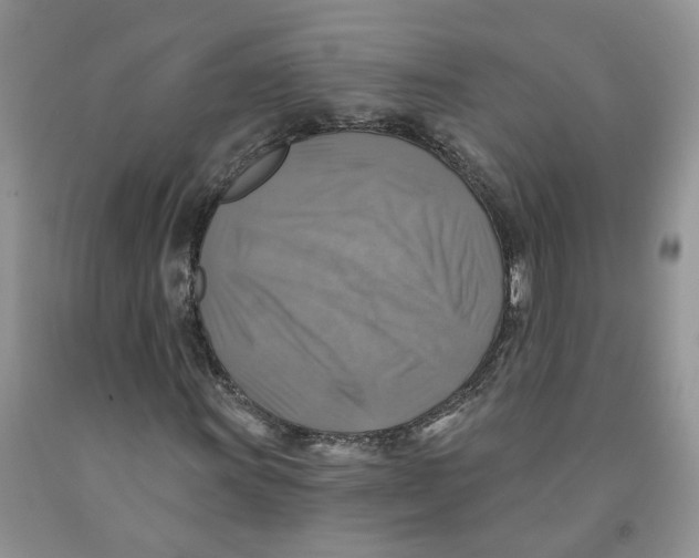 X0000091291011200709071027