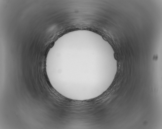 X0000091291012200709071027