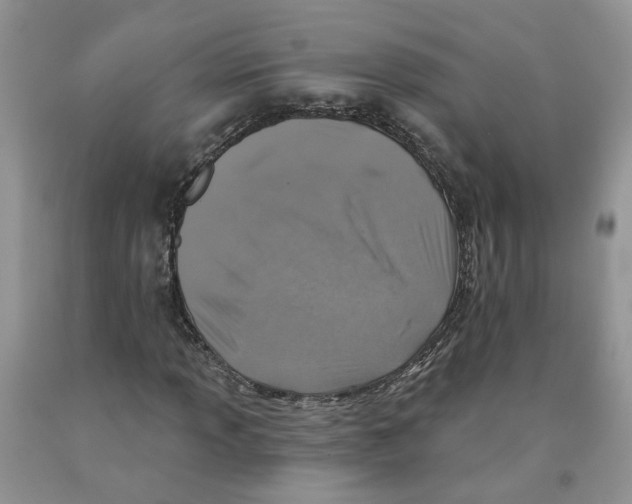 X0000091291013200709071027