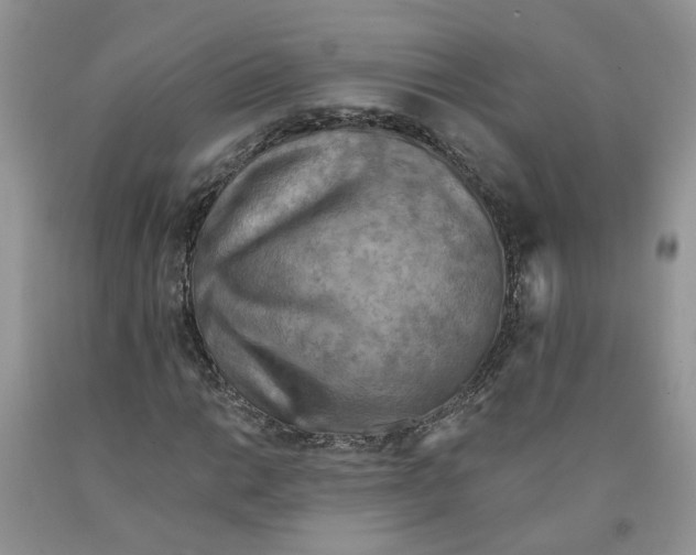 X0000091291014200709071027