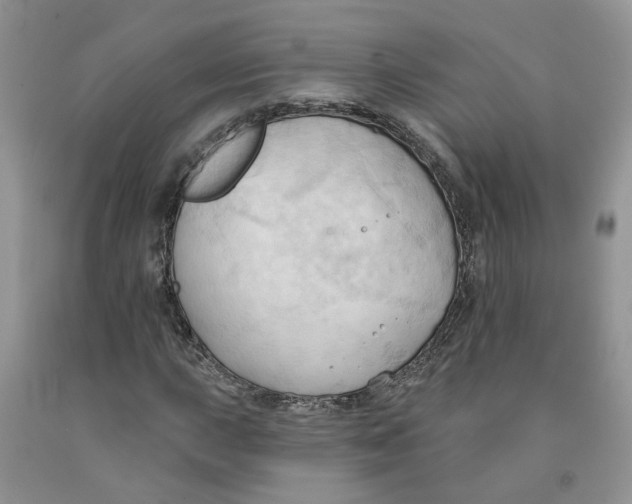 X0000091291015200709071027