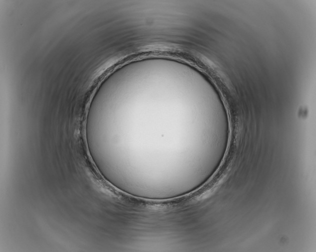 X0000091291017200709071027