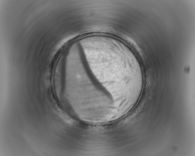 X0000091291019200709071027