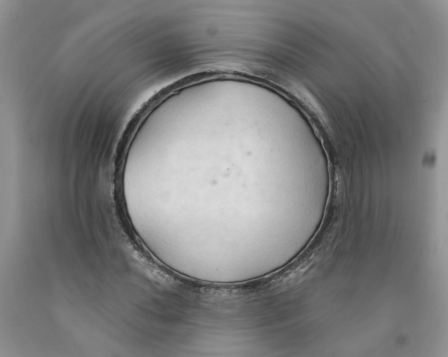 X0000091291020200709071027