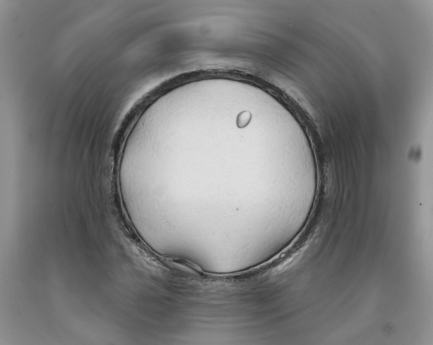 X0000091291021200709071027