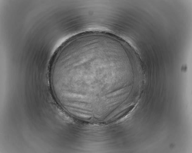 X0000091291022200709071027