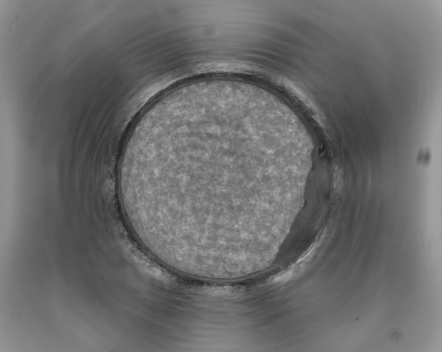 X0000091291025200709071027