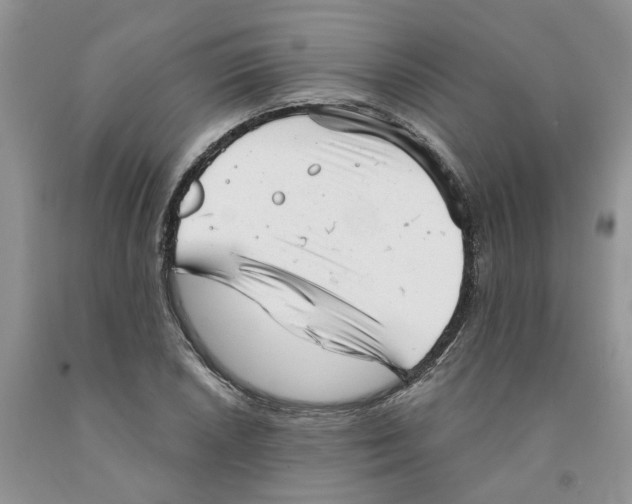 X0000091291026200709071027