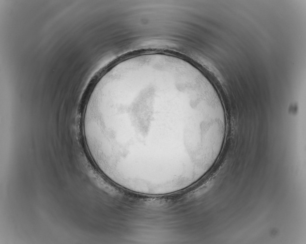 X0000091291029200709071027