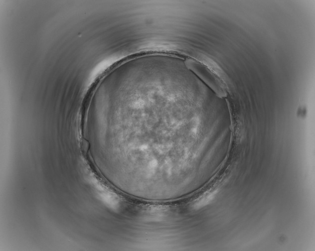 X0000091291030200709071027