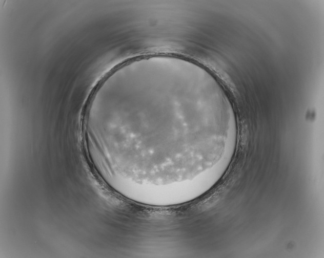 X0000091291031200709071027