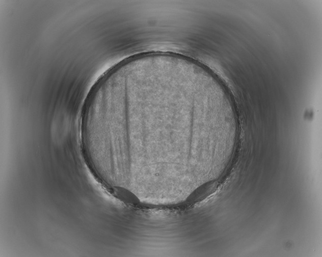 X0000091291032200709071028