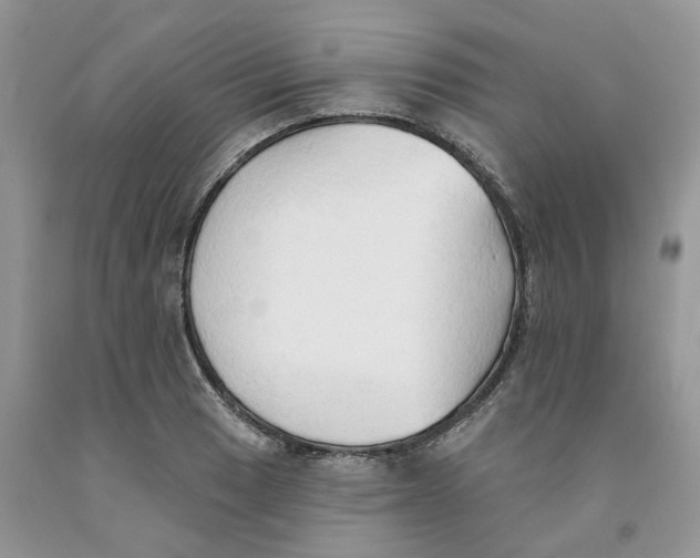 X0000091291033200709071028