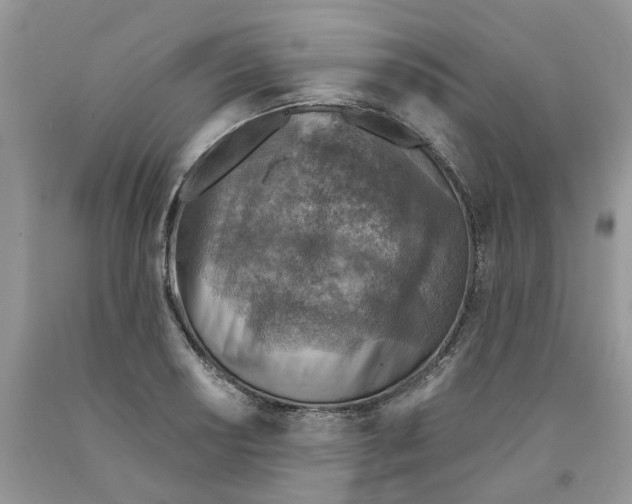 X0000091291034200709071028