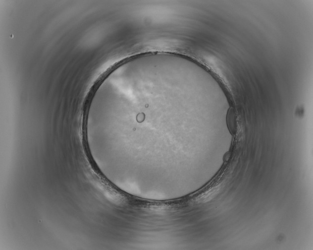 X0000091291035200709071028