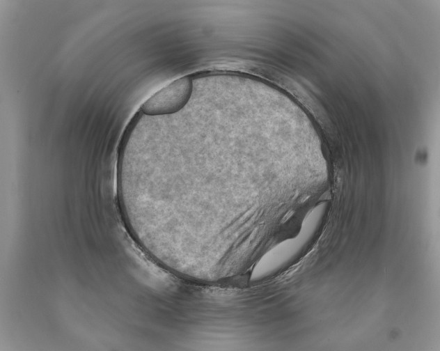 X0000091291036200709071028