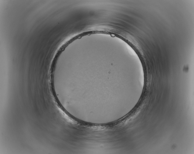 X0000091291037200709071028