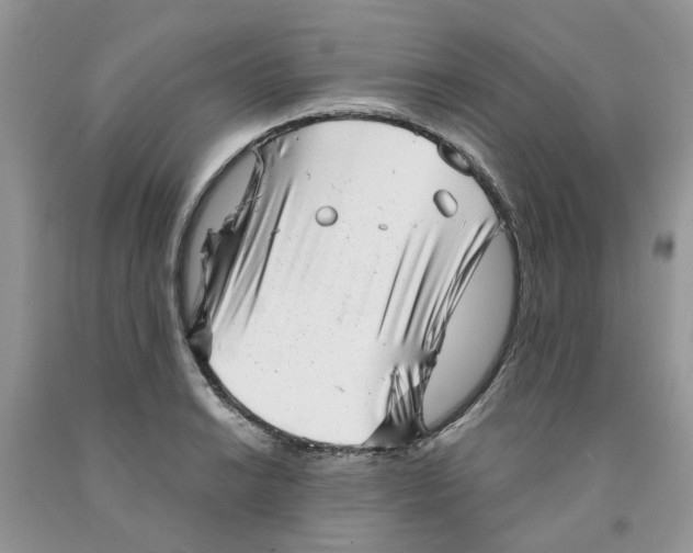 X0000091291038200709071028