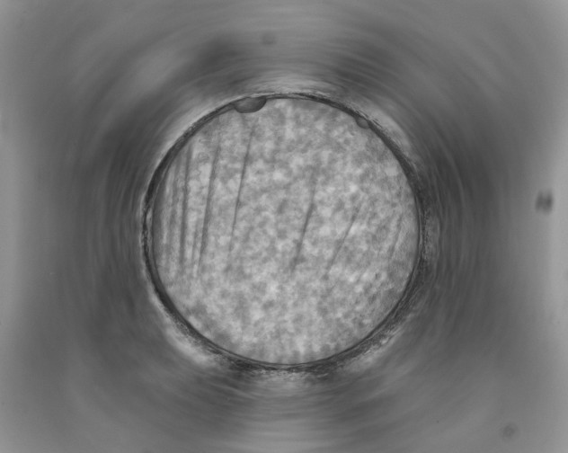 X0000091291039200709071028