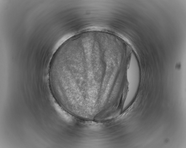 X0000091291042200709071028