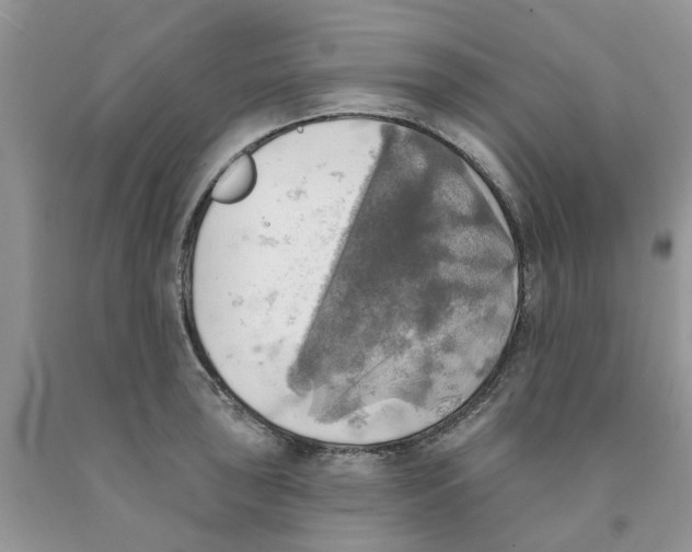 X0000091291043200709071028