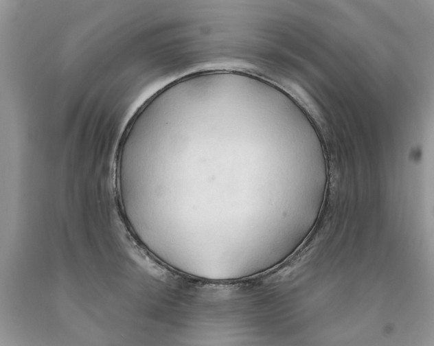 X0000091291044200709071028