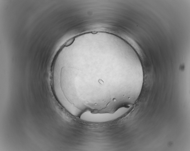 X0000091291051200709071028