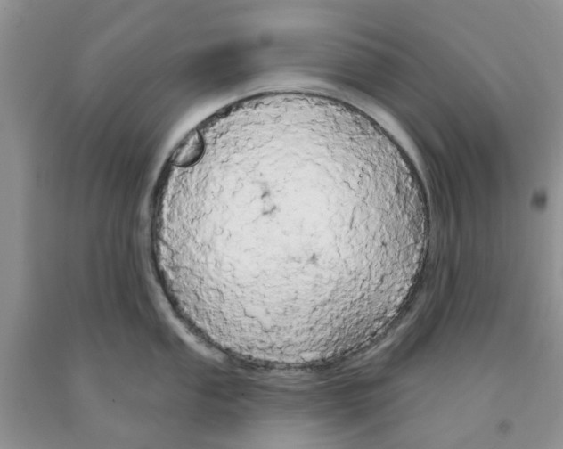 X0000091291053200709071028