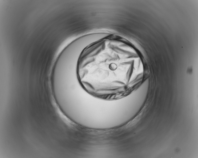 X0000091291054200709071028