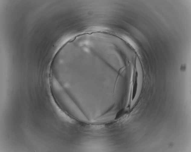 X0000091291055200709071028