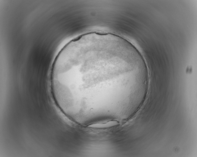 X0000091291056200709071028