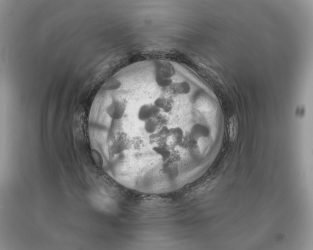 X0000091291059200709071027