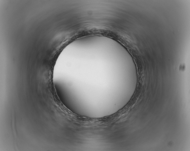 X0000091291061200709071027